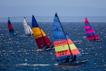 Colorful sailboats are cruising across a body of water with vibrant sails in various combinations of blue, red, yellow, and orange. The sunlight reflects off the waves, creating a sparkling effect on the water. The scene suggests a calm day with gentle winds perfect for sailing.