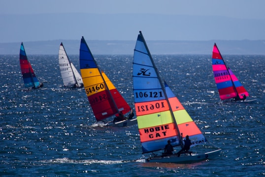 Colorful sailboats are cruising across a body of water with vibrant sails in various combinations of blue, red, yellow, and orange. The sunlight reflects off the waves, creating a sparkling effect on the water. The scene suggests a calm day with gentle winds perfect for sailing.