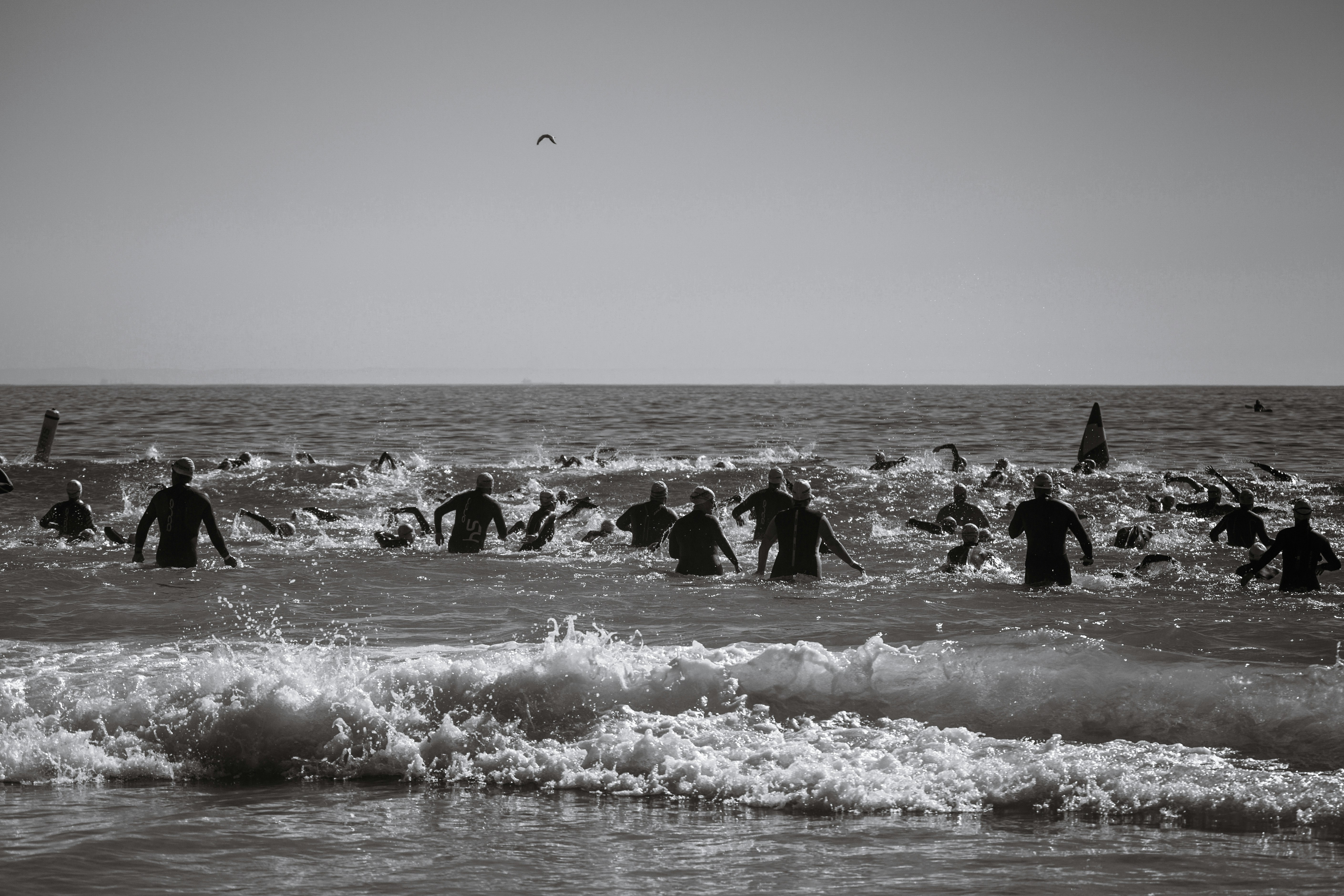 A group of people wearing wetsuits swim in the ocean, possibly participating in an open water race or event. The water is choppy with visible waves, and a distant horizon is visible under a clear sky.