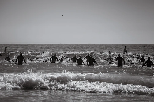Aerial view of swimmers starting the 4k open water race near El Arco at sunrise