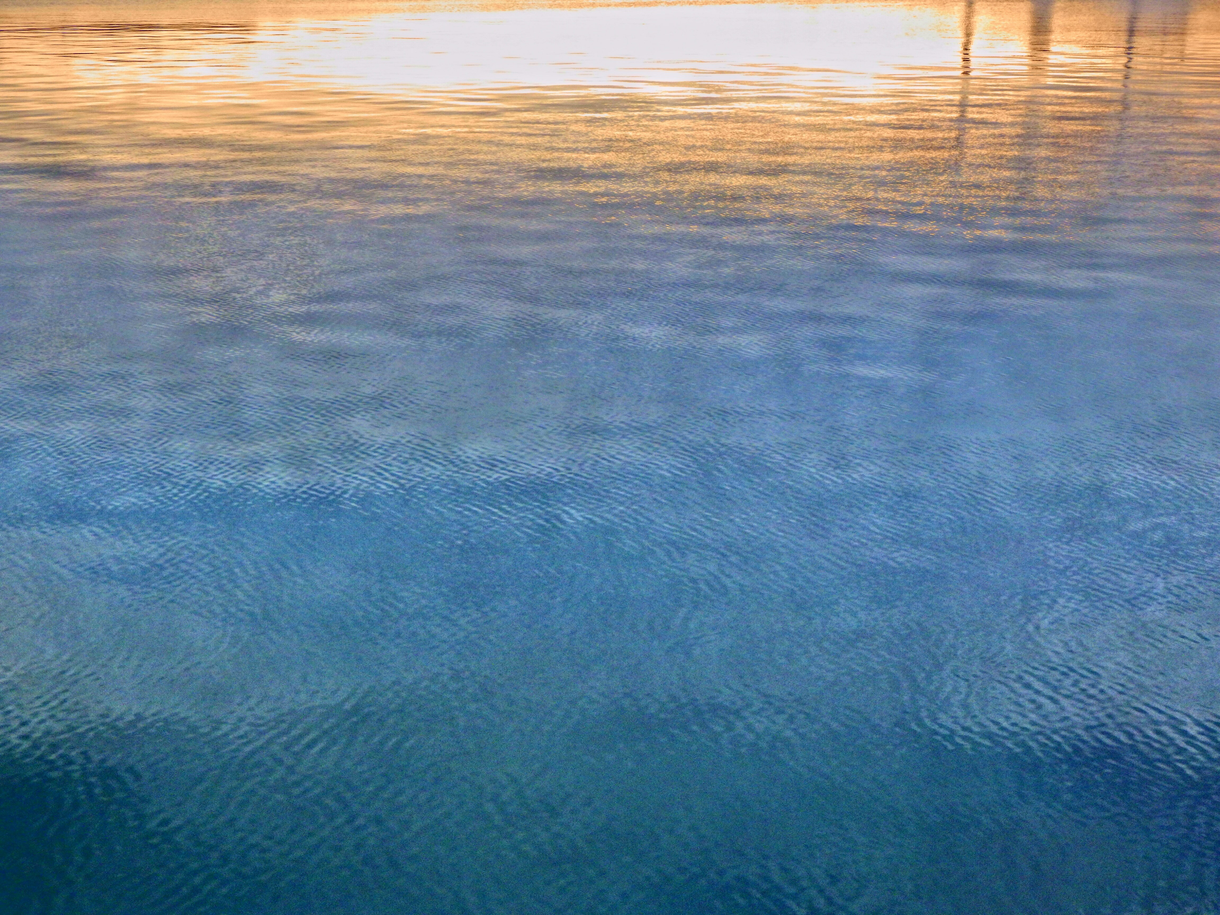 Photo by dominapetric