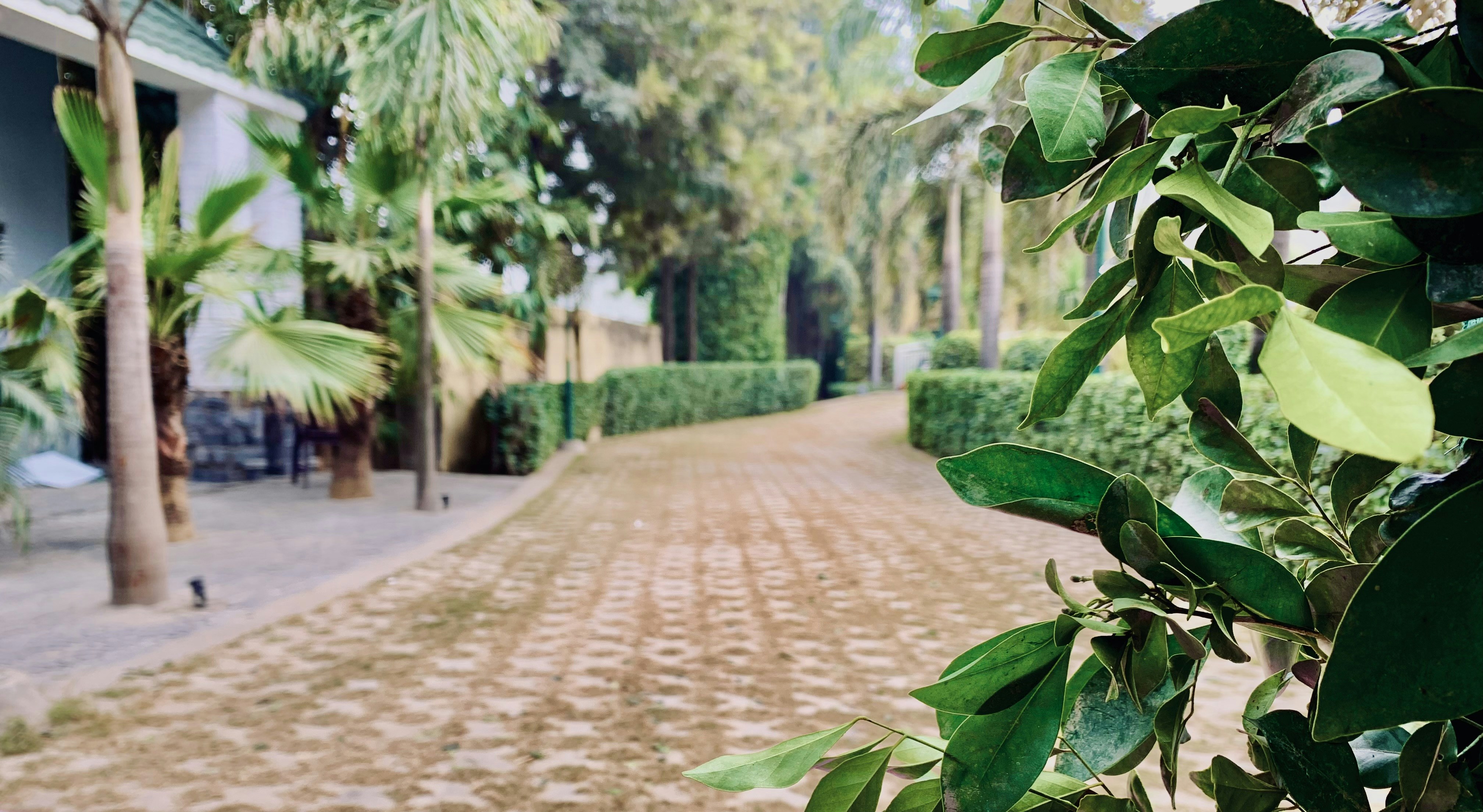 Photo by bossx918spy