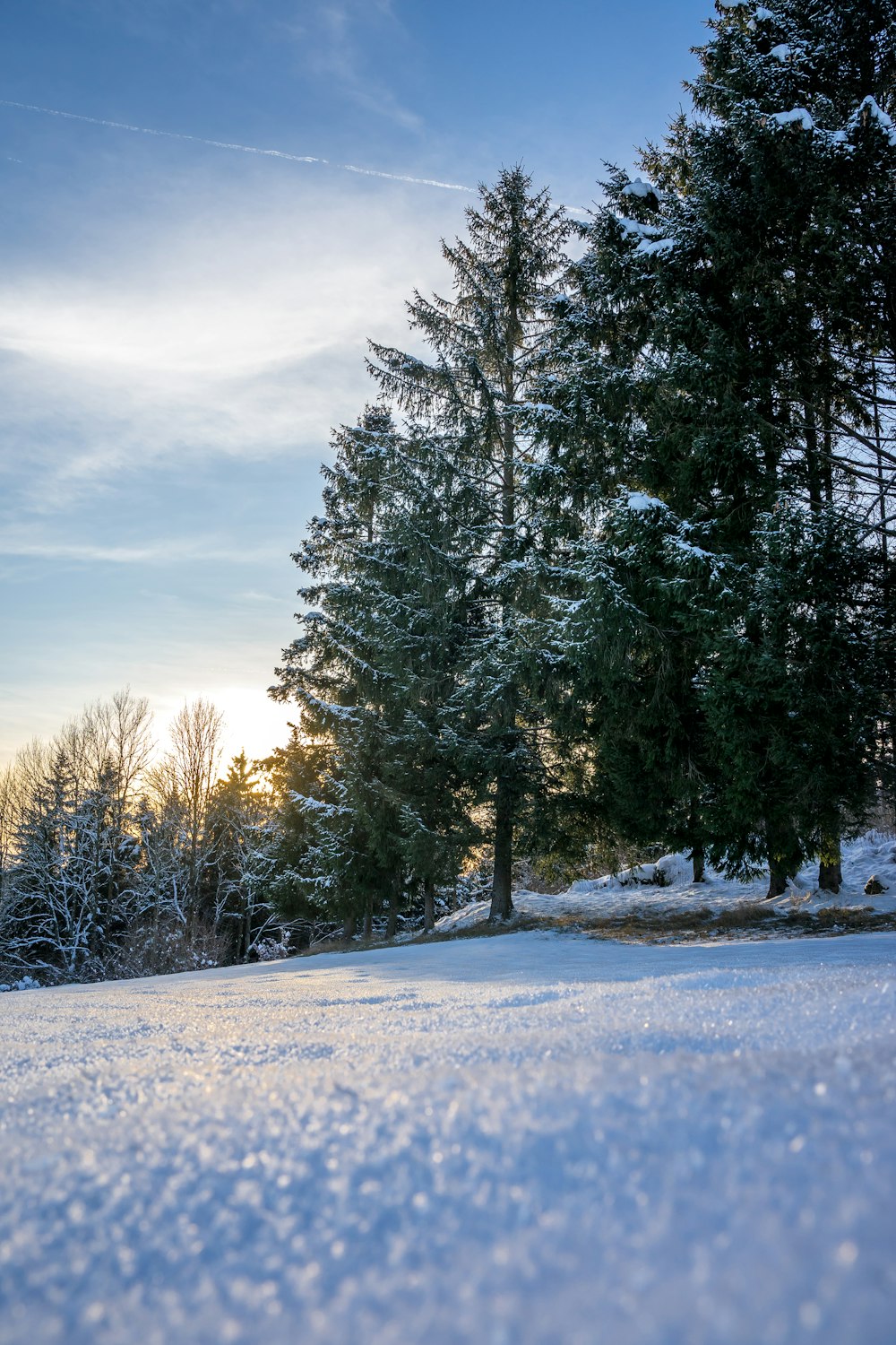 a snow covered field with trees in the background