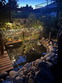 Beautiful landscape lighting enhancing a garden at dusk.