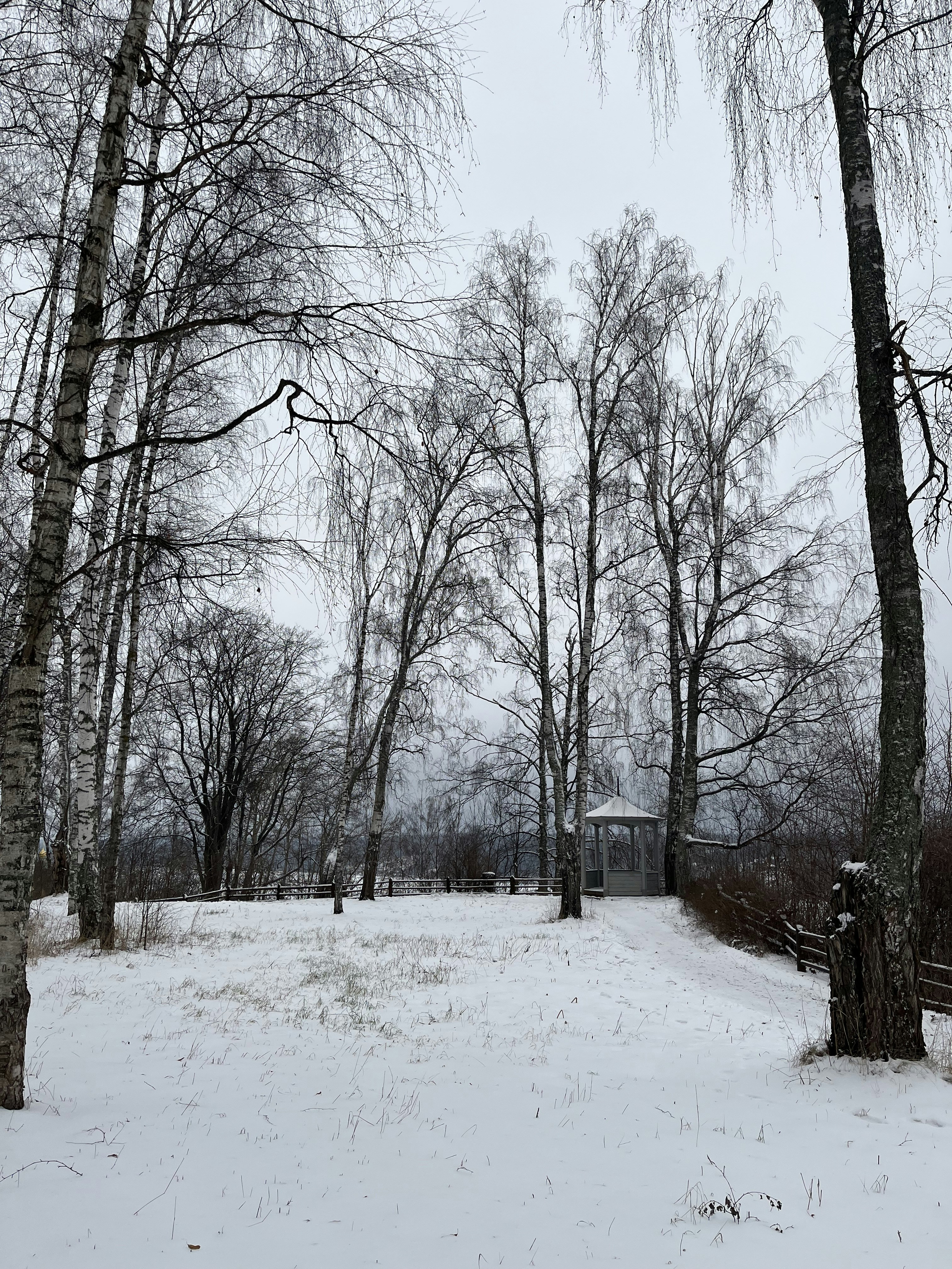 Photo by halcyonred2022