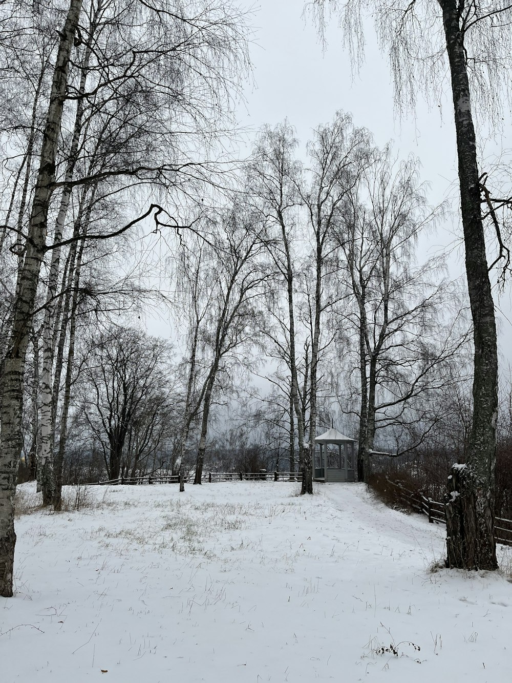 a snow covered field with trees in the background