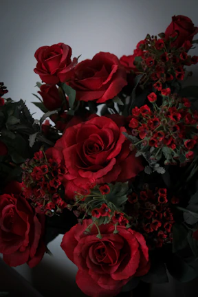 A vibrant bouquet of red roses symbolizing love and romance.