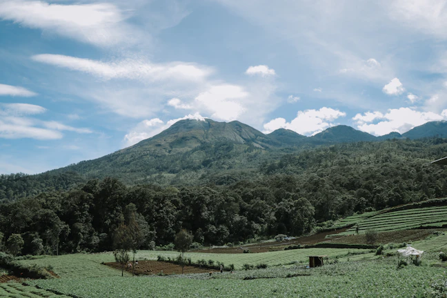 3-Day Malang Luxury Itinerary: Epic Travel Guide