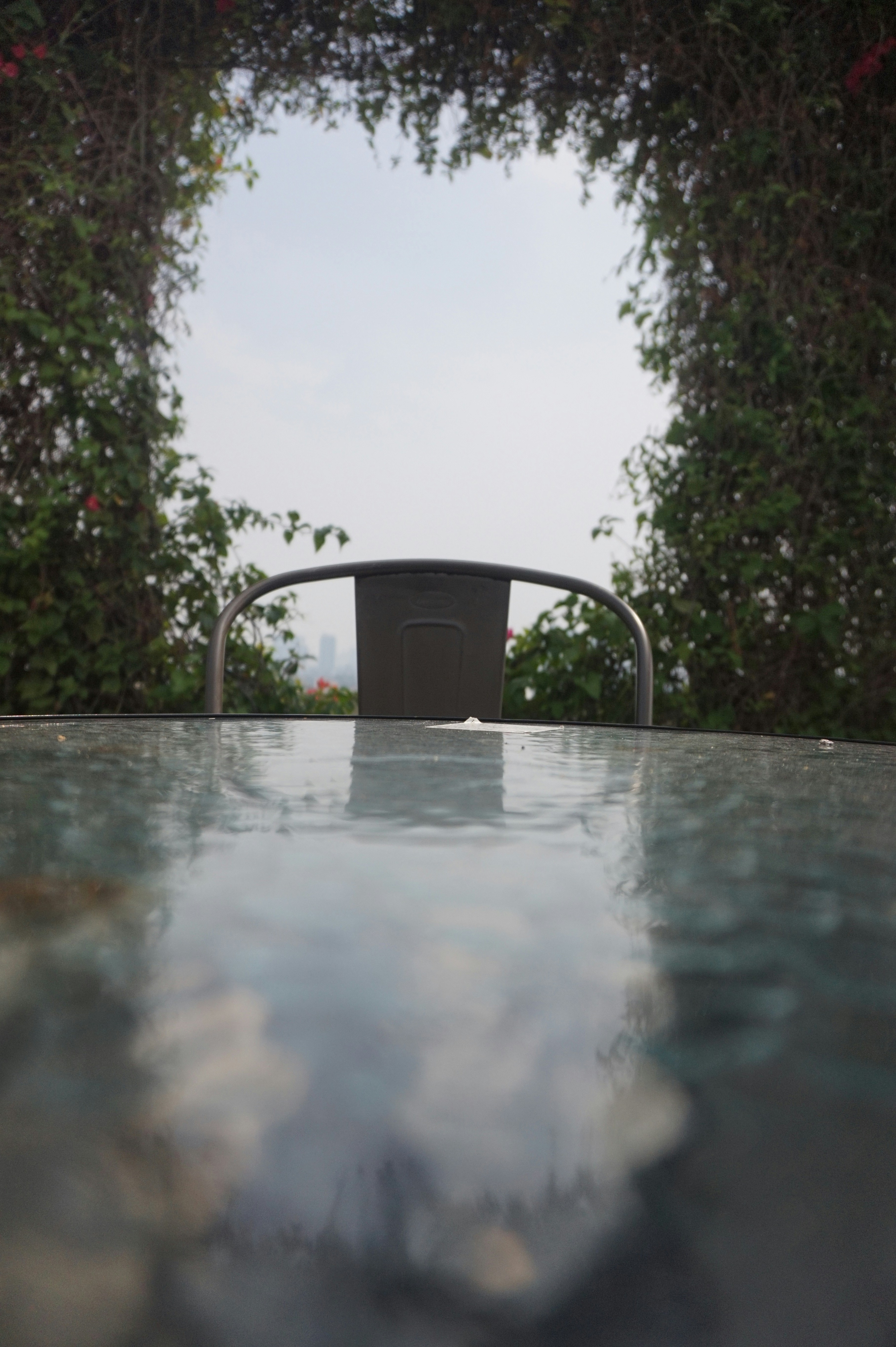 Photo by kellinreaver