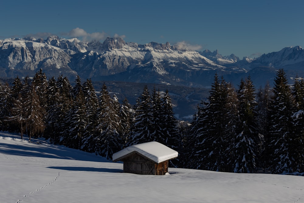 a small cabin in the middle of a snowy field