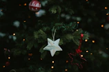A limited-edition wooden star ornament resting on a bed of fresh pine needles and twinkling lights.