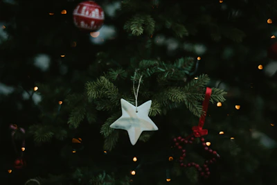 A limited-edition wooden star ornament resting on a bed of fresh pine needles and twinkling lights.