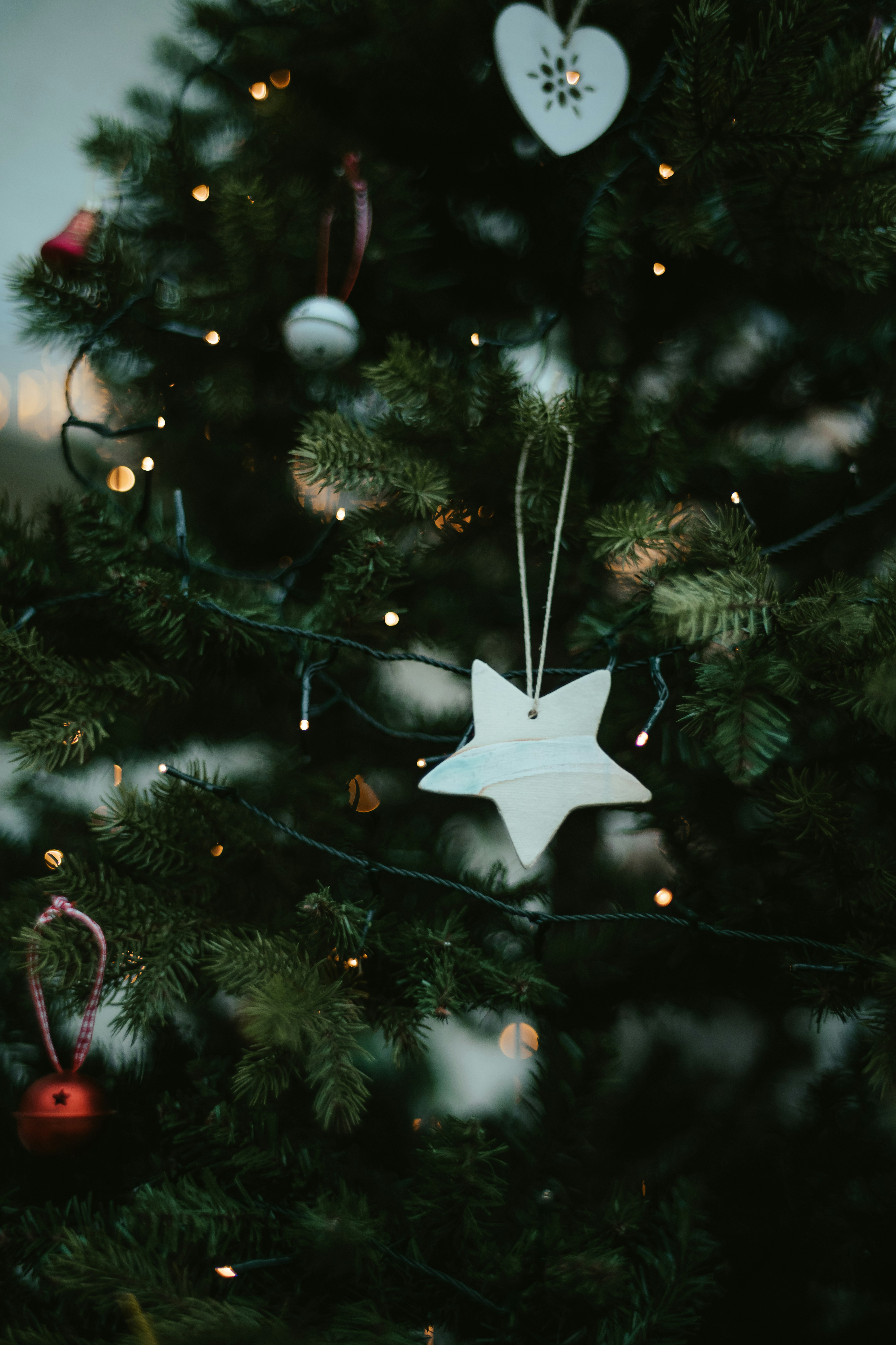 Photo by anniespratt