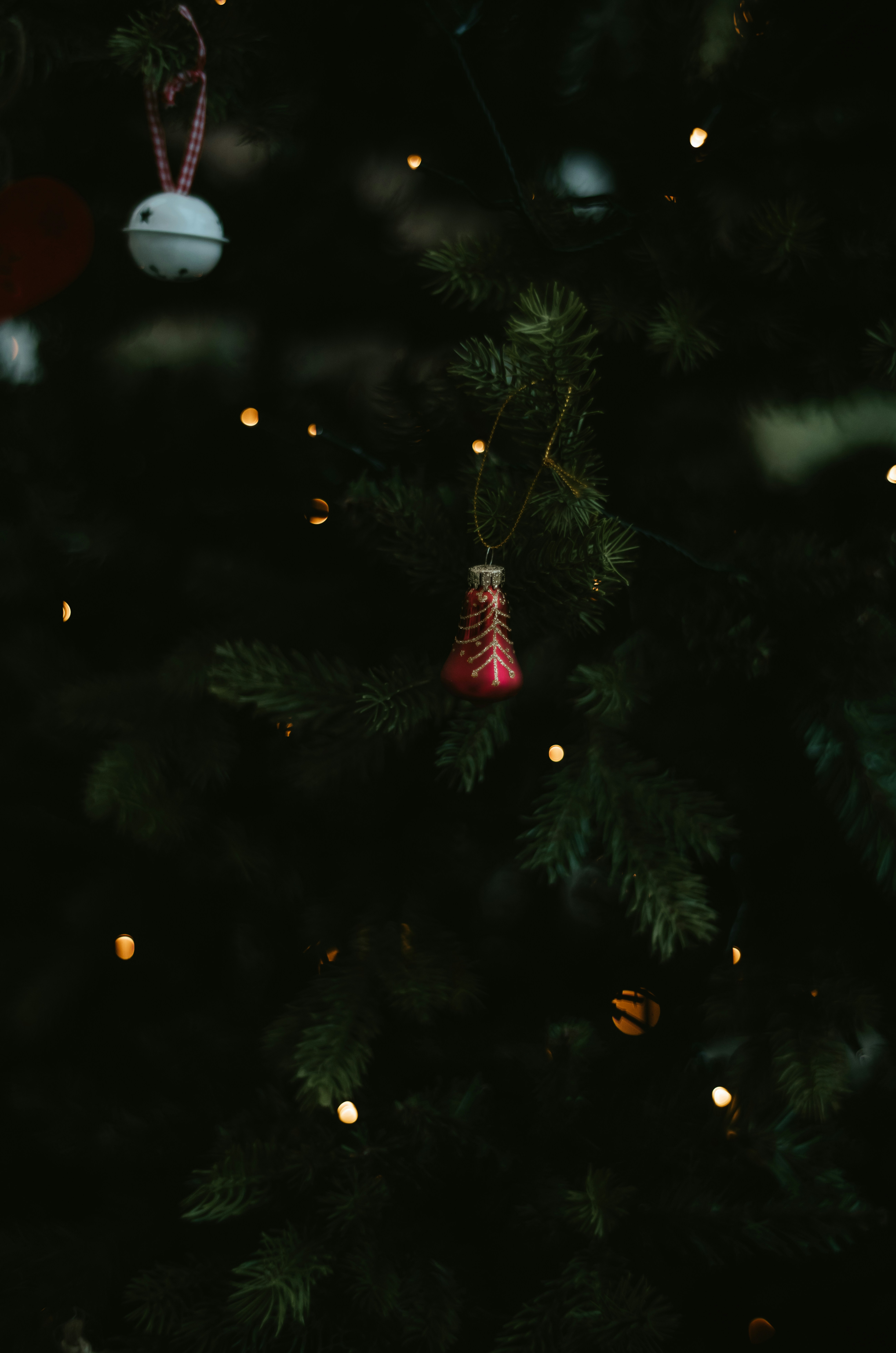 Photo by anniespratt