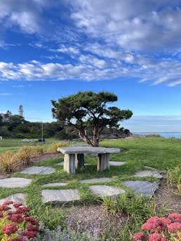 A serene landscape with a family enjoying a picnic, symbolizing financial security and future planning.