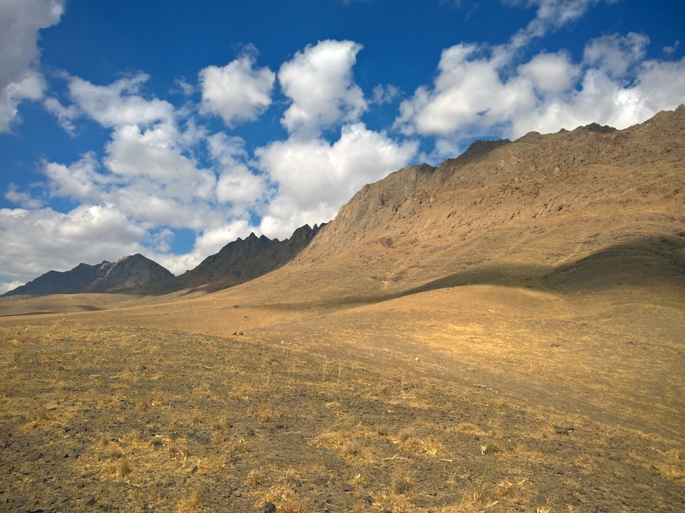 a field with mountains in the background under a cloudy sky