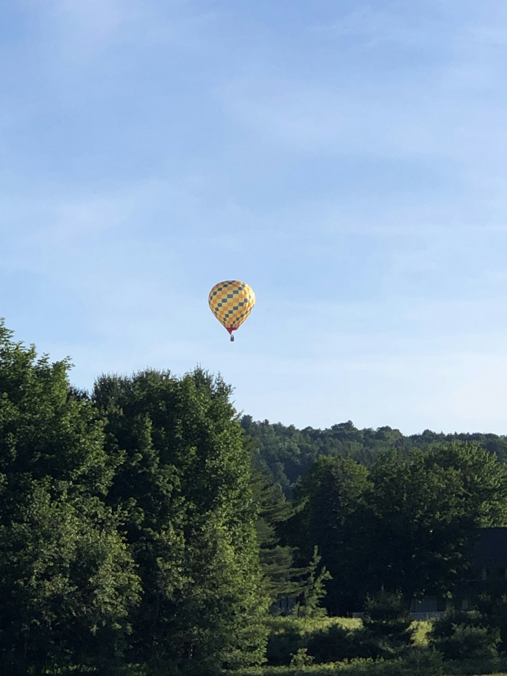 a hot air balloon flying over a lush green field