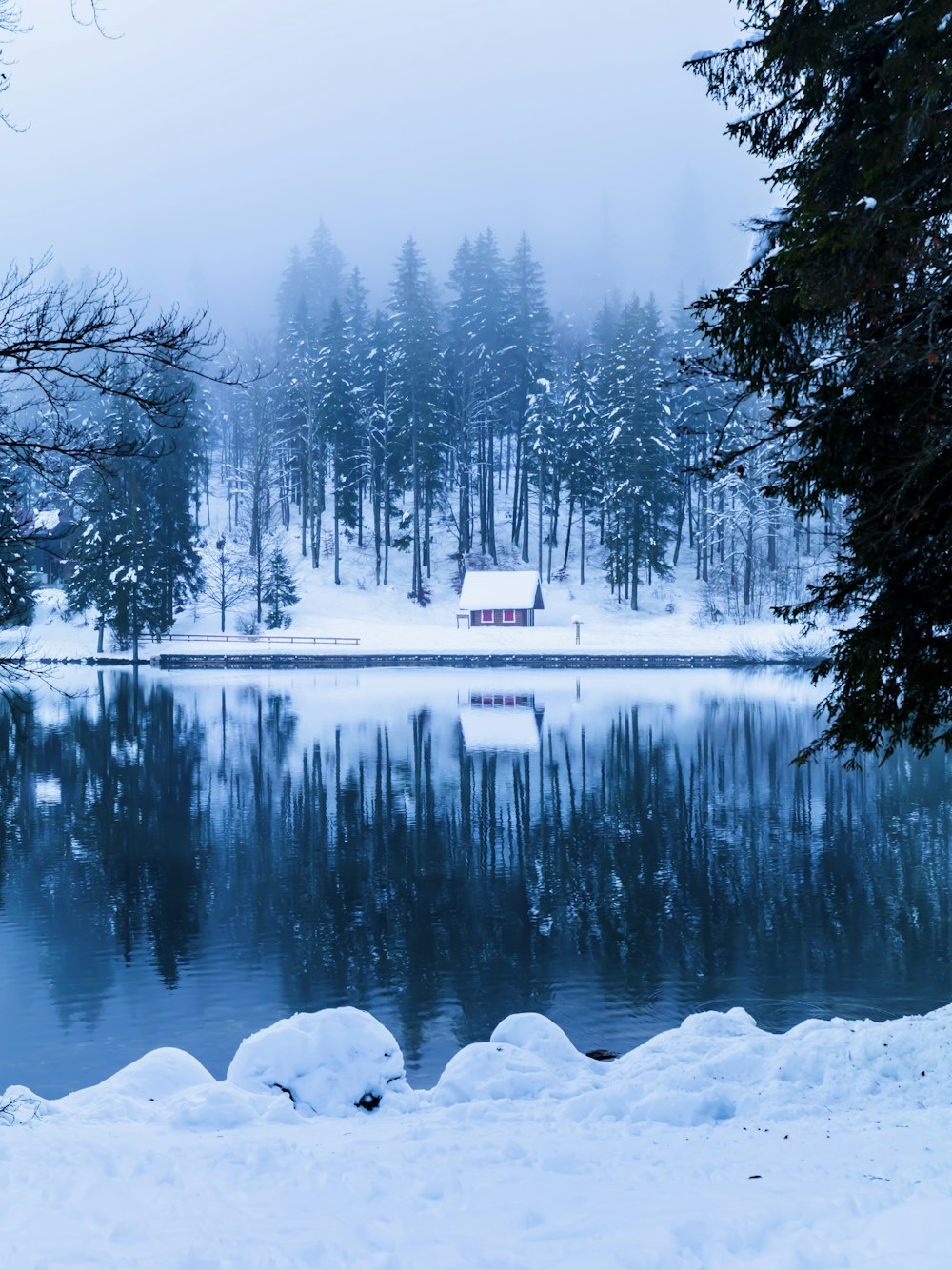 a lake surrounded by snow covered trees