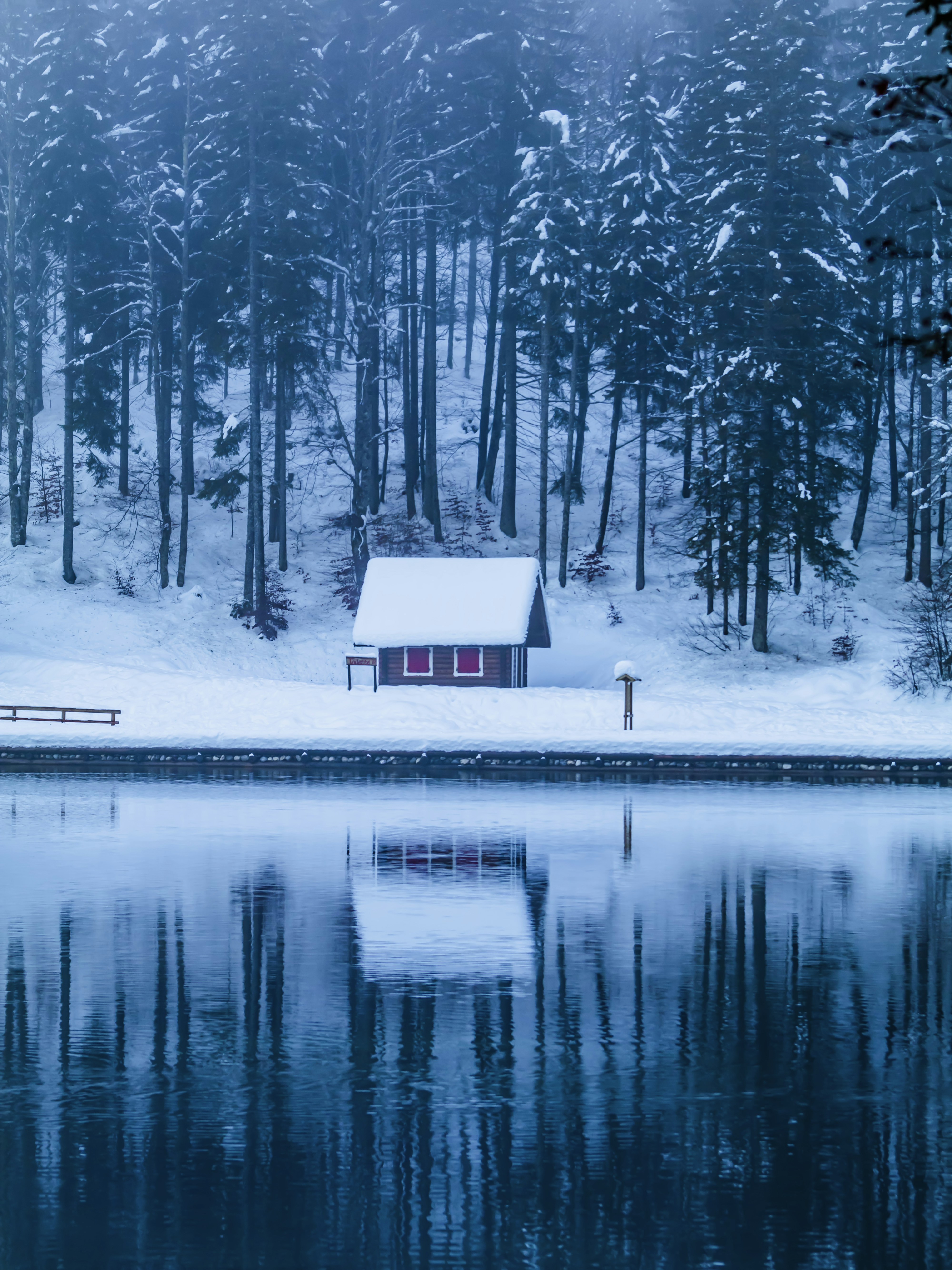 Photo by merlin_photo