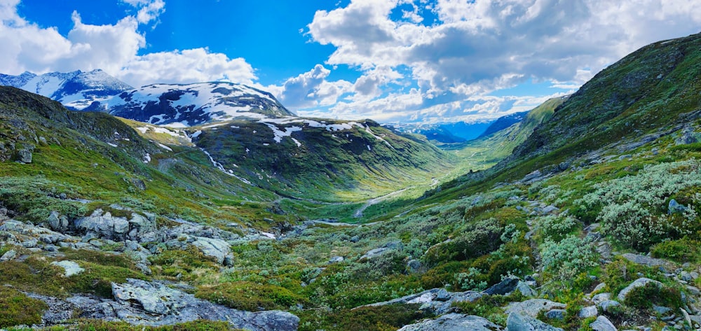 a view of a valley with mountains in the background