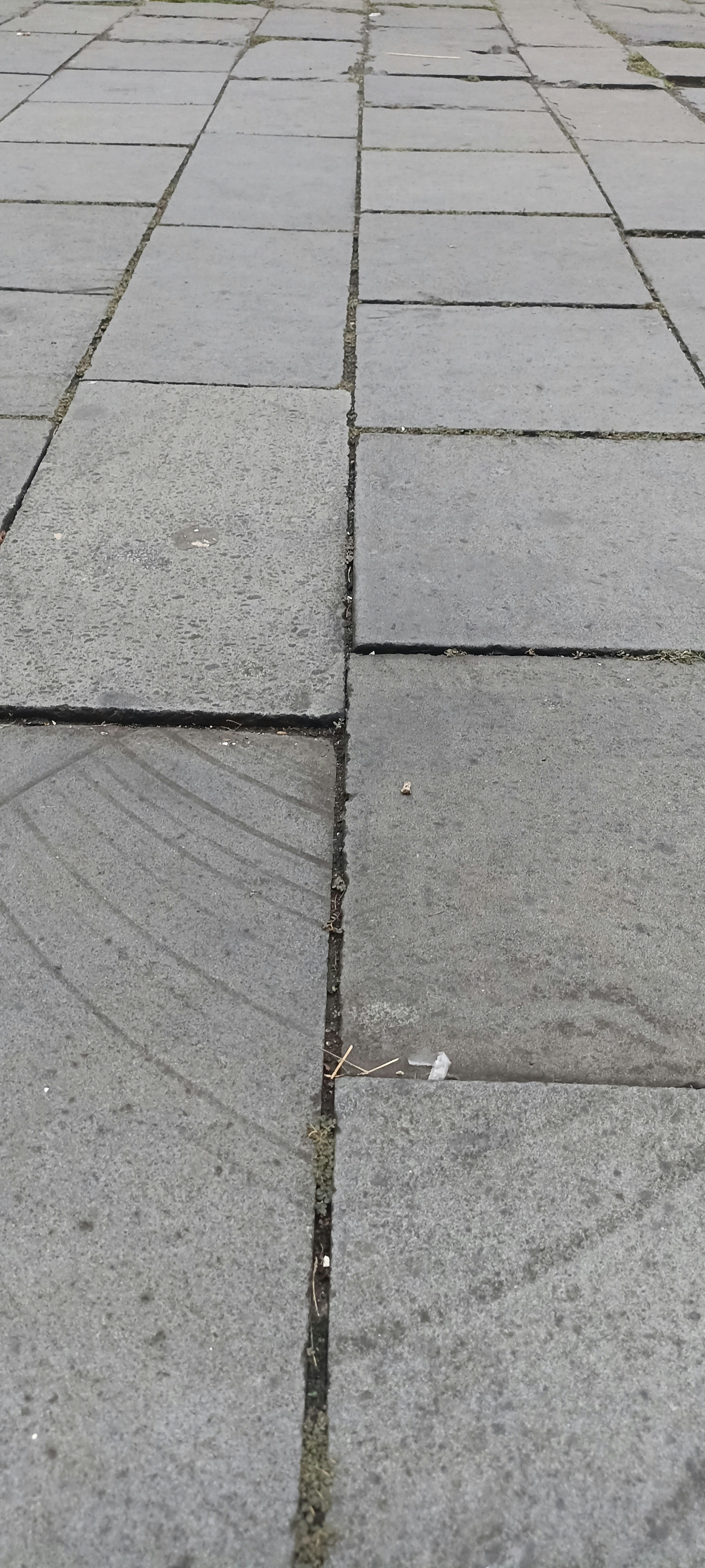 Premium Porcelain Tiles Collection