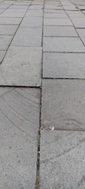 Stone pavement with rectangular tiles arranged in a grid pattern. Some tiles appear worn and have visible marks or stains. Small debris is present between the tiles.
