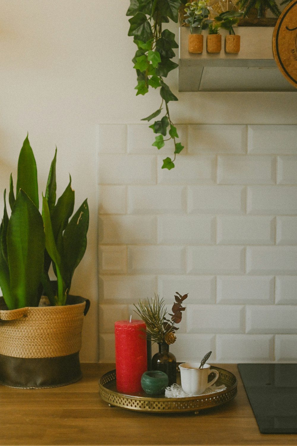 a wooden table topped with a tray of plants