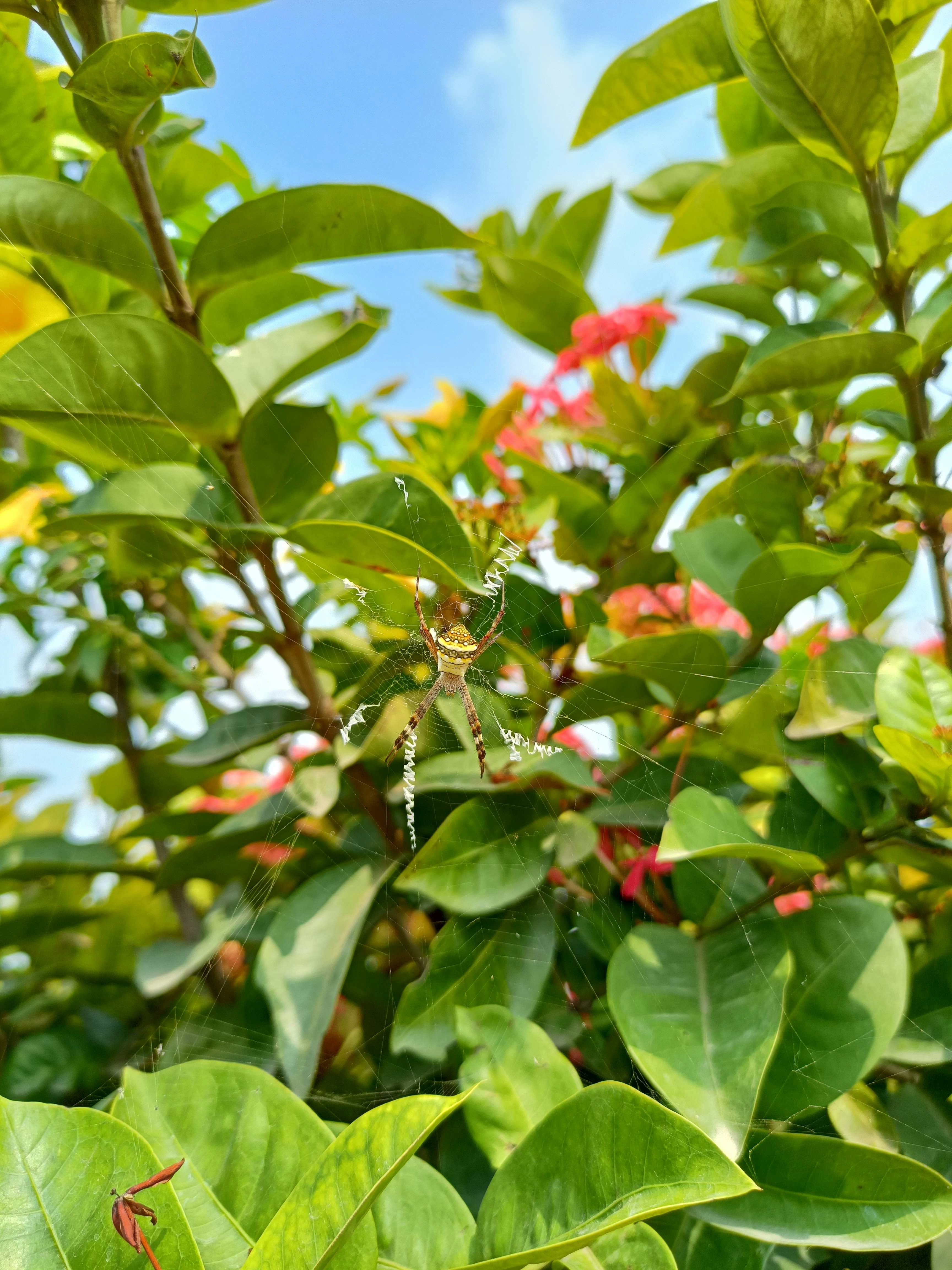 Photo by jinishshah_