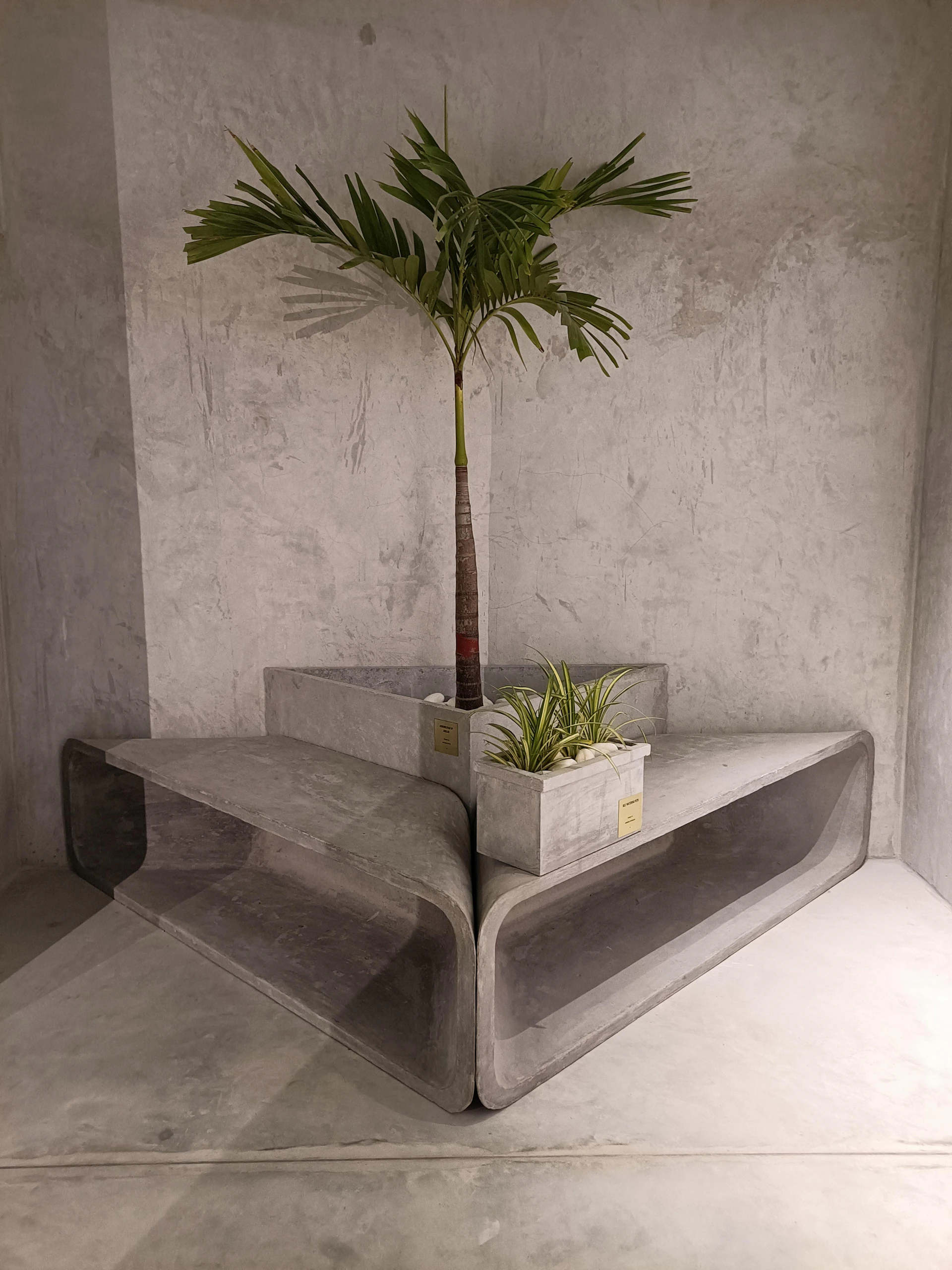 a concrete bench with a plant on top of it