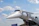 A large, sleek, silver aircraft with a distinctive pointed nose and a set of stairs leading to its entrance is shown against a backdrop of a partly cloudy sky. A few people are visible ascending the stairs towards the plane, which appears to be on display. Various logos and lettering are visible on the fuselage, indicating the aircraft's affiliations and purpose.