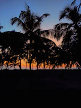 A vibrant tropical sunset background with palm trees and colorful leaves reflecting the Ondasol brand spirit.
