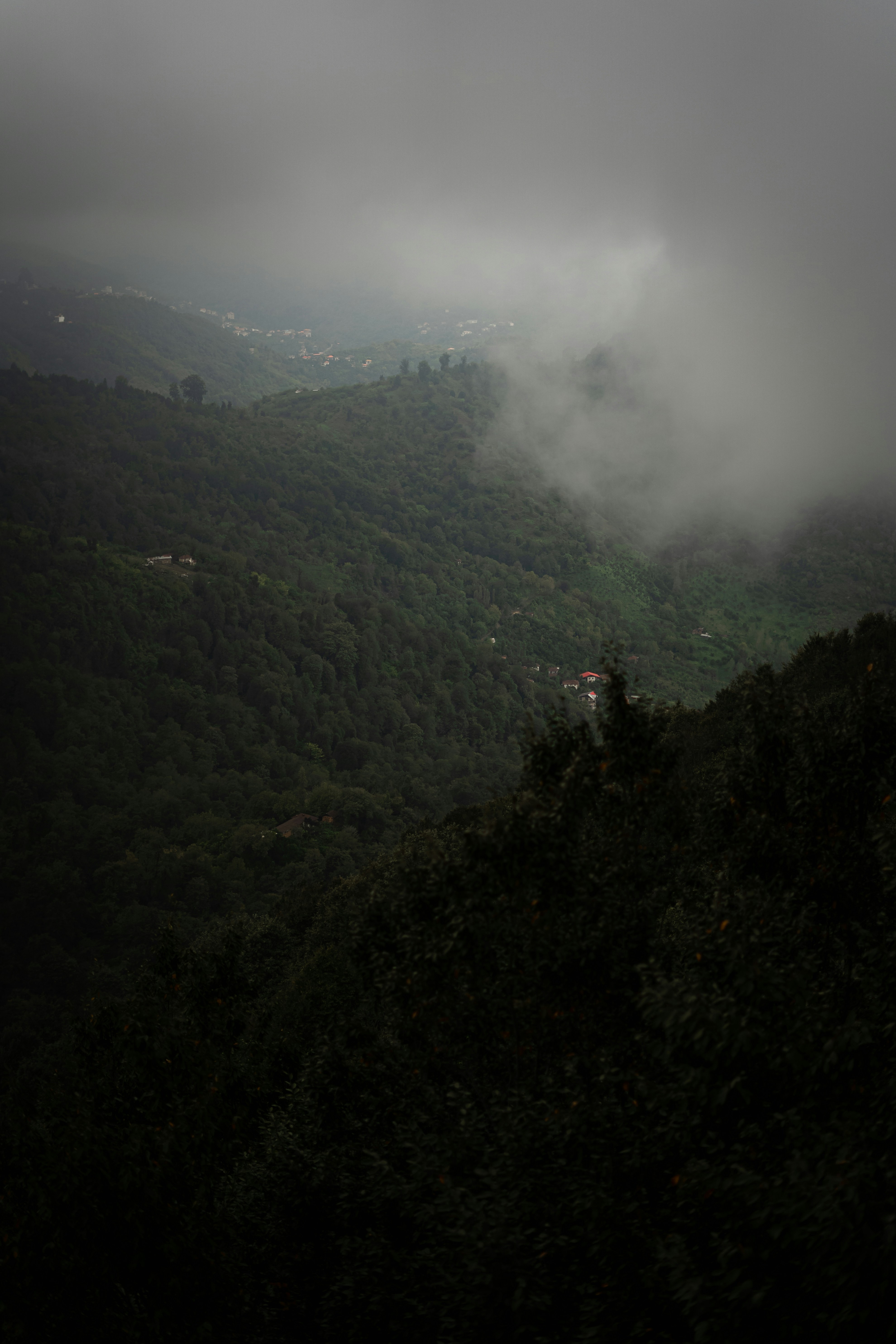 Photo by eliiesh