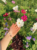 A woman’s hand adorned with layered bracelets, reaching out towards blooming flowers.