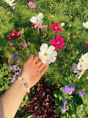 A woman’s hand adorned with layered bracelets, reaching out towards blooming flowers.