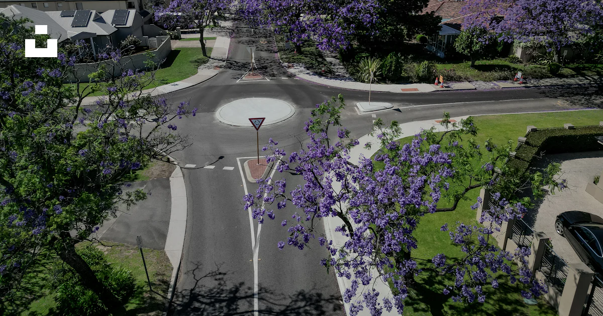 An aerial view of a street intersection with purple trees photo – Free ...