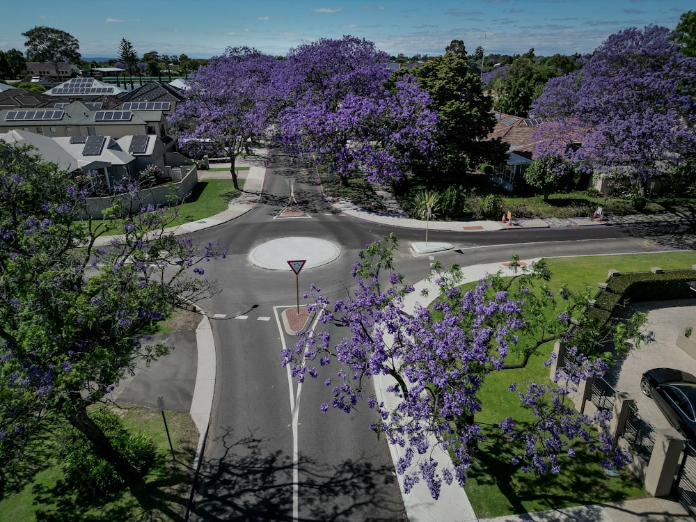 an aerial view of a street intersection with purple trees