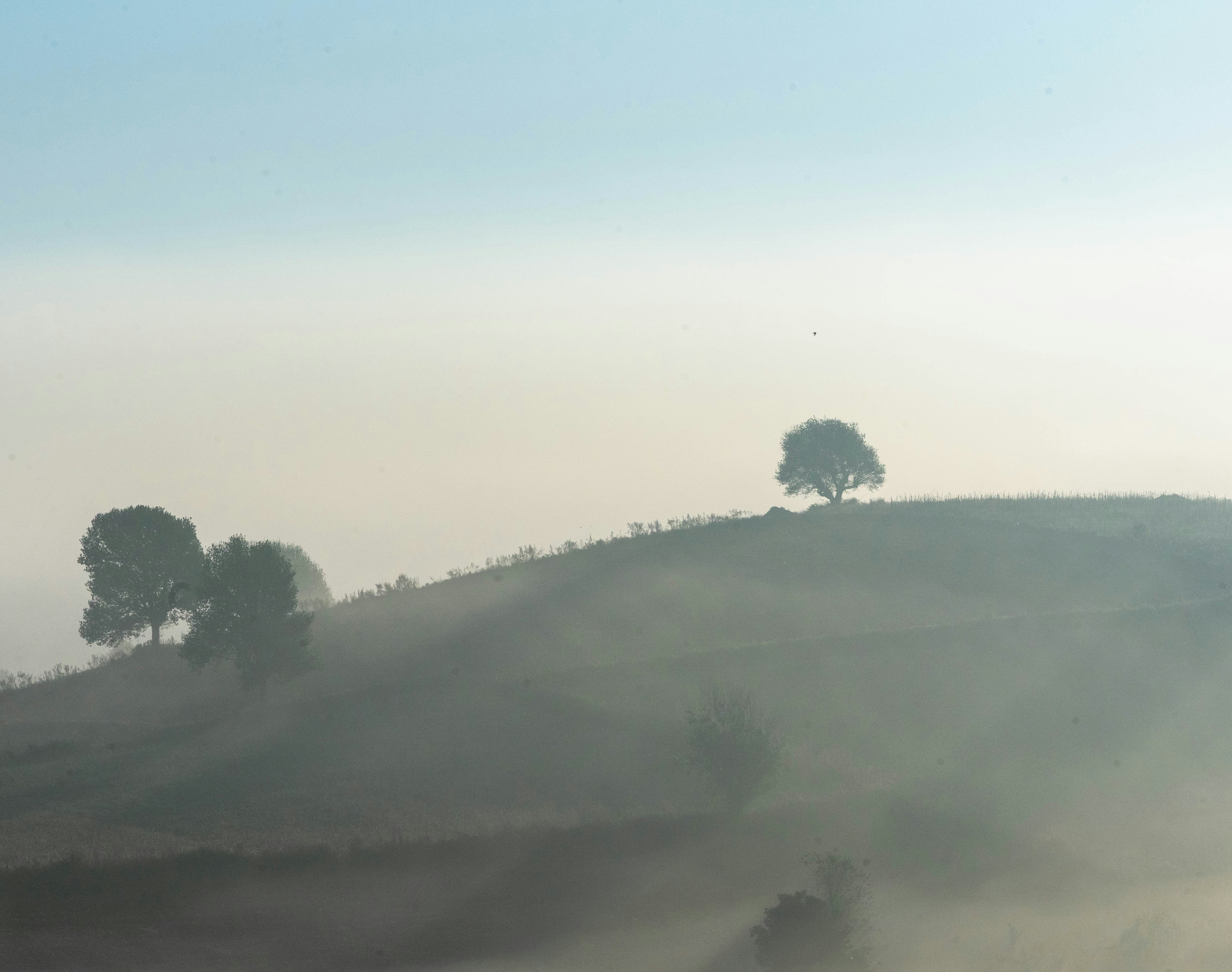 Photo by mrthetkhine