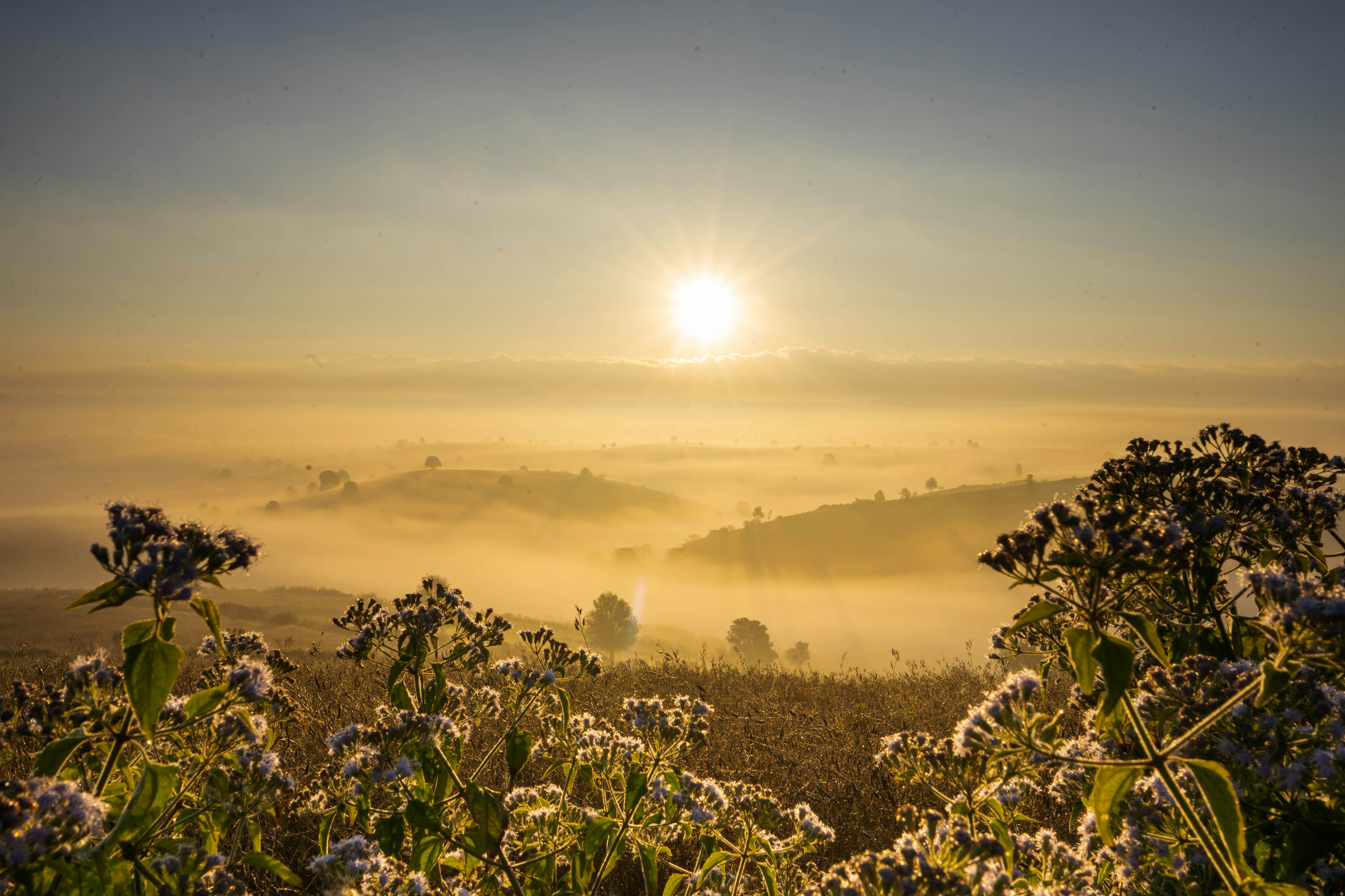 Photo by mrthetkhine