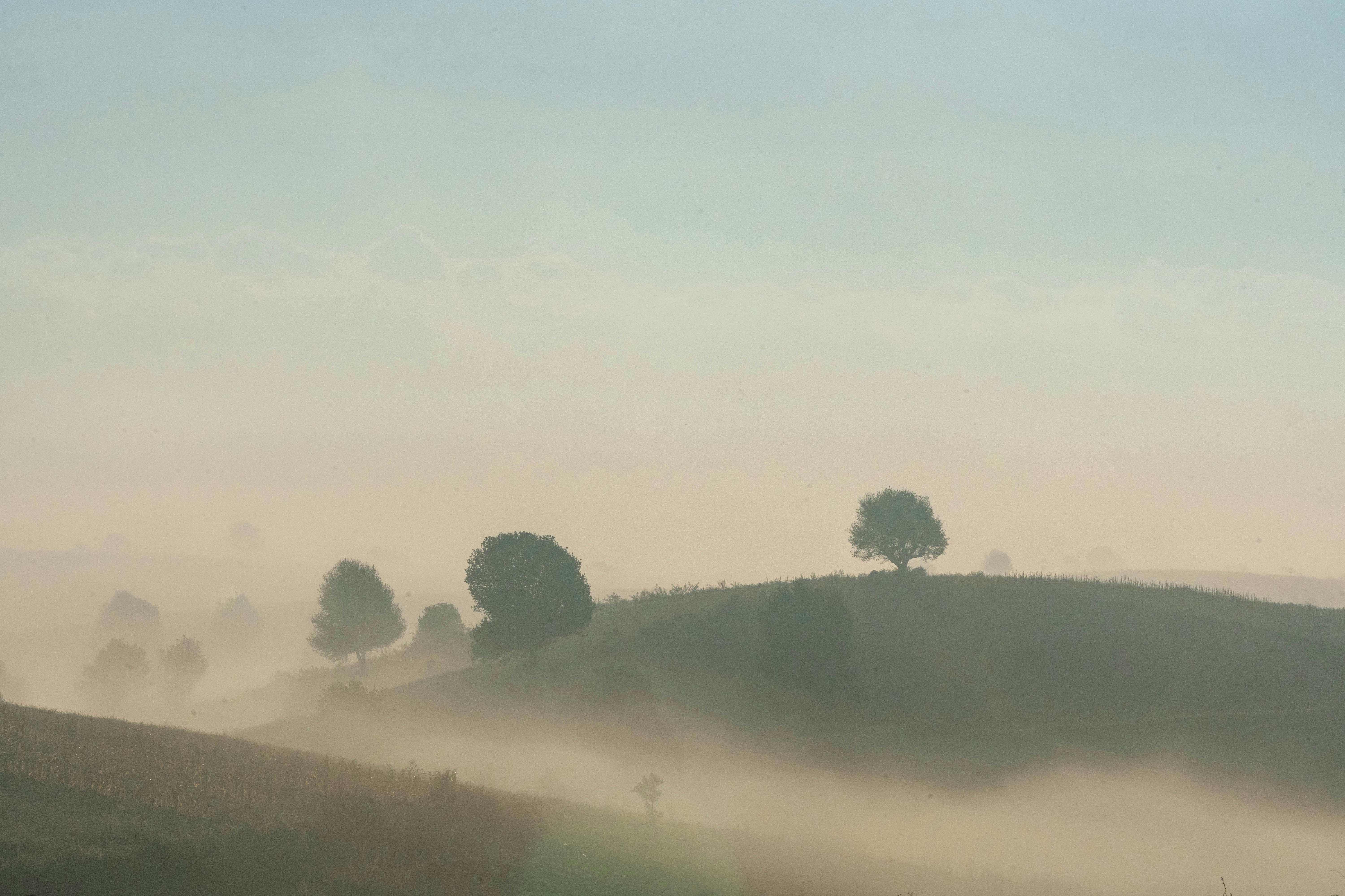 Biomimicry Applications in Human Technology (image credits: unsplash)