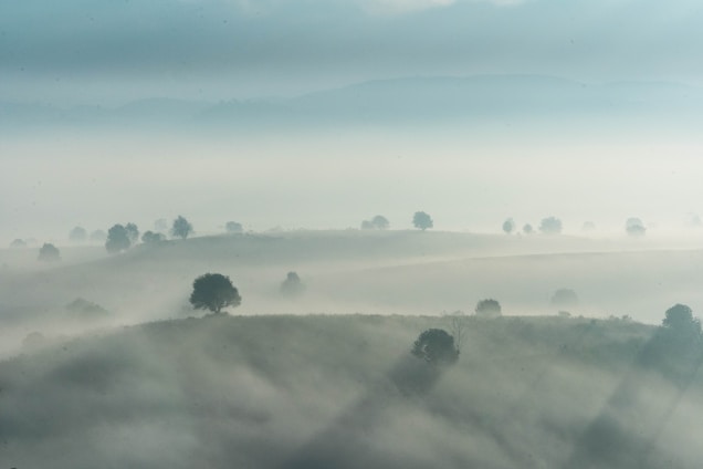 A serene landscape with a soft-focus effect, emphasizing tranquility.