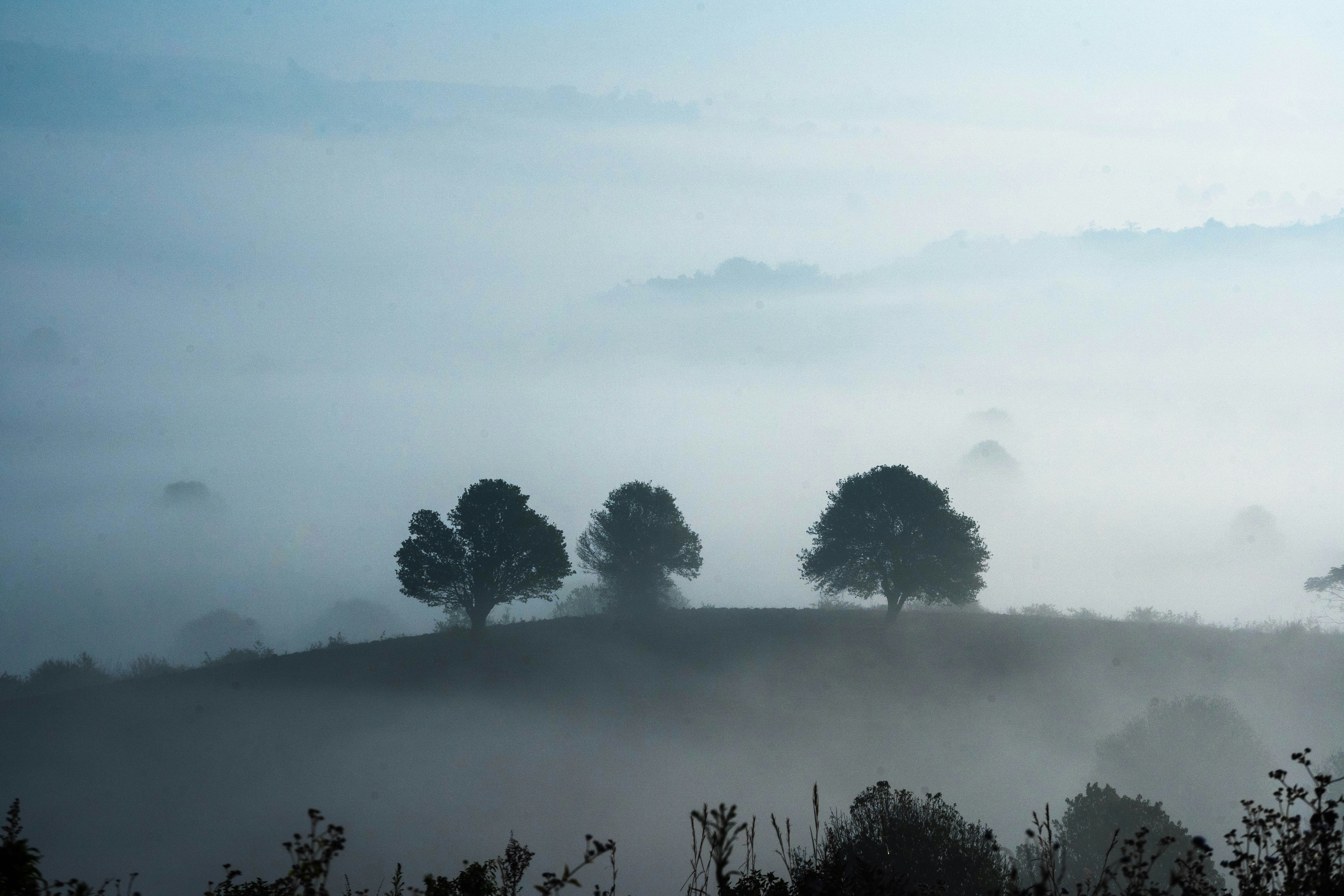 Photo by mrthetkhine