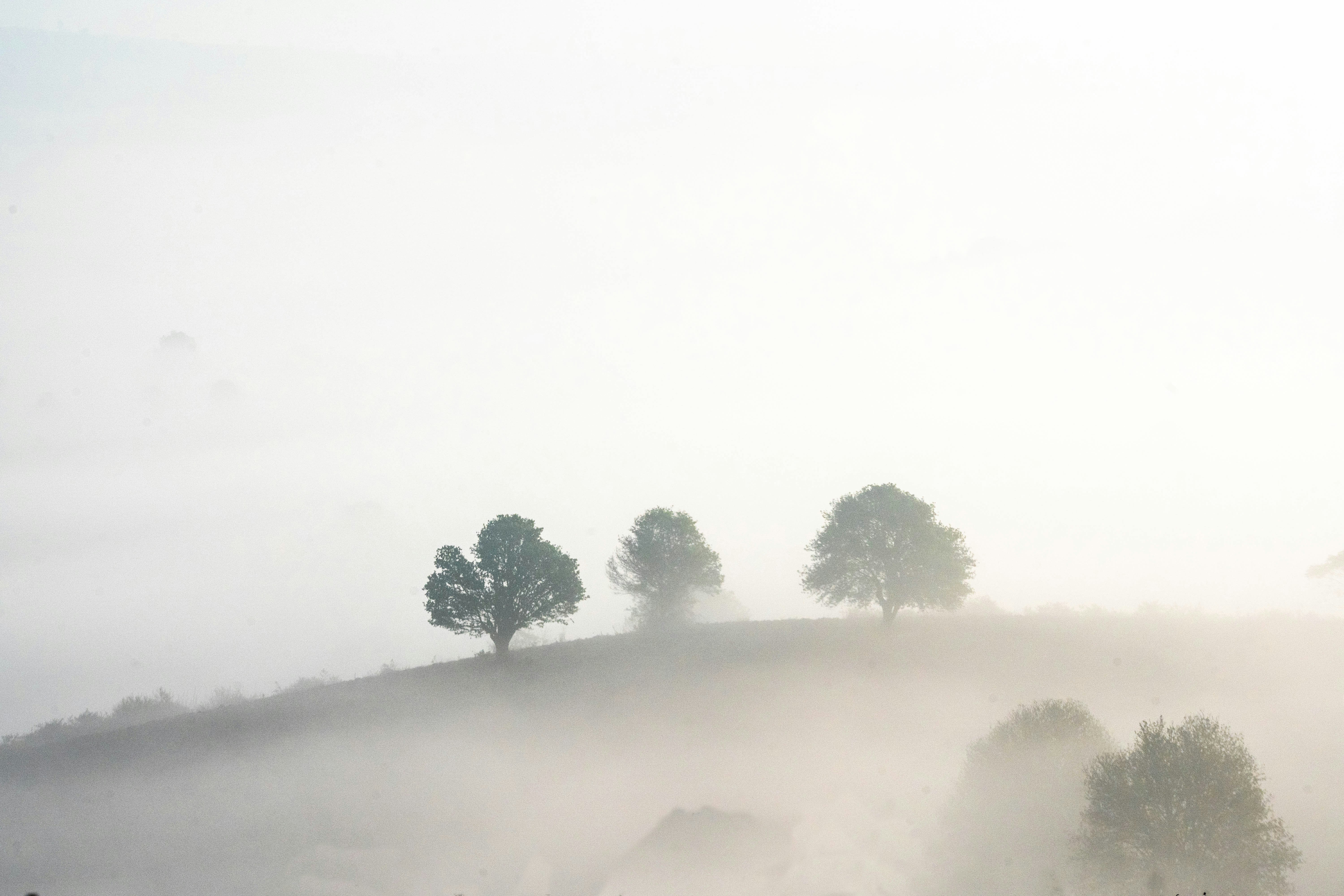 Photo by mrthetkhine