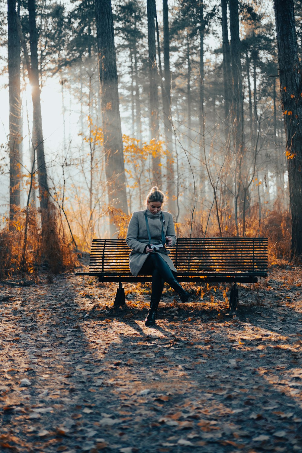 a person sitting on a bench in the woods