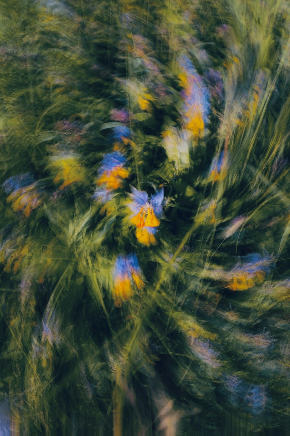 a blurry photo of a tree with flowers on it