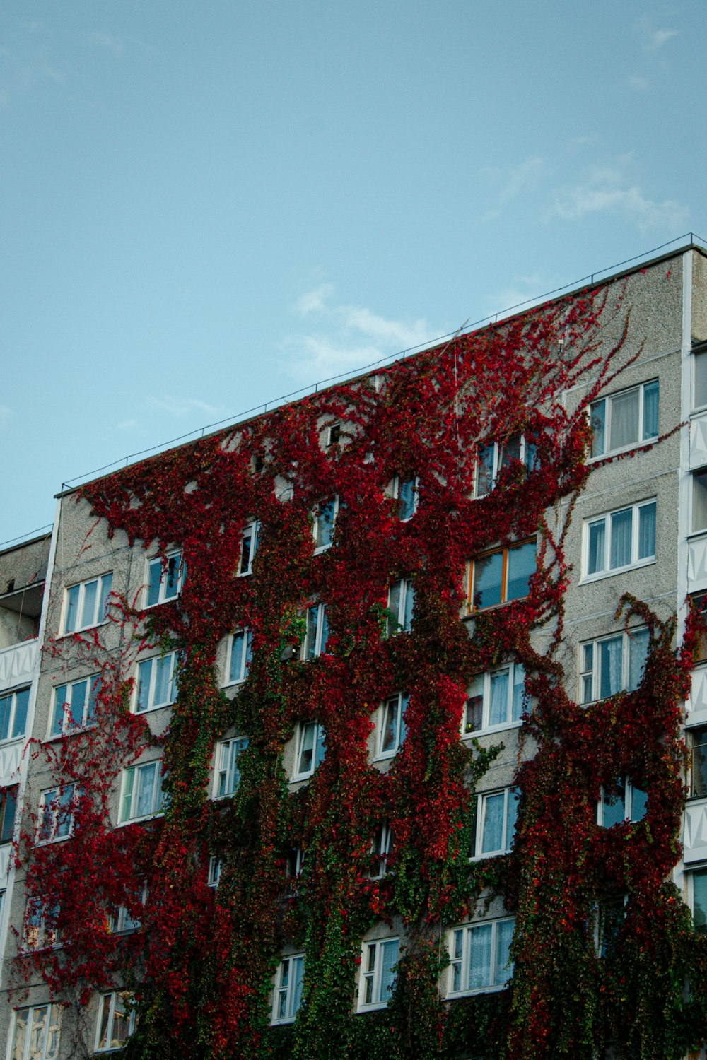 a tall building with vines growing on the side of it