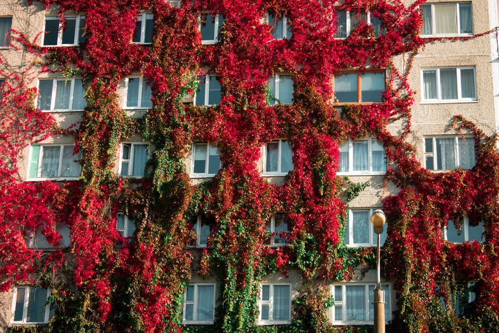 Un edificio muy alto cubierto de muchas flores rojas