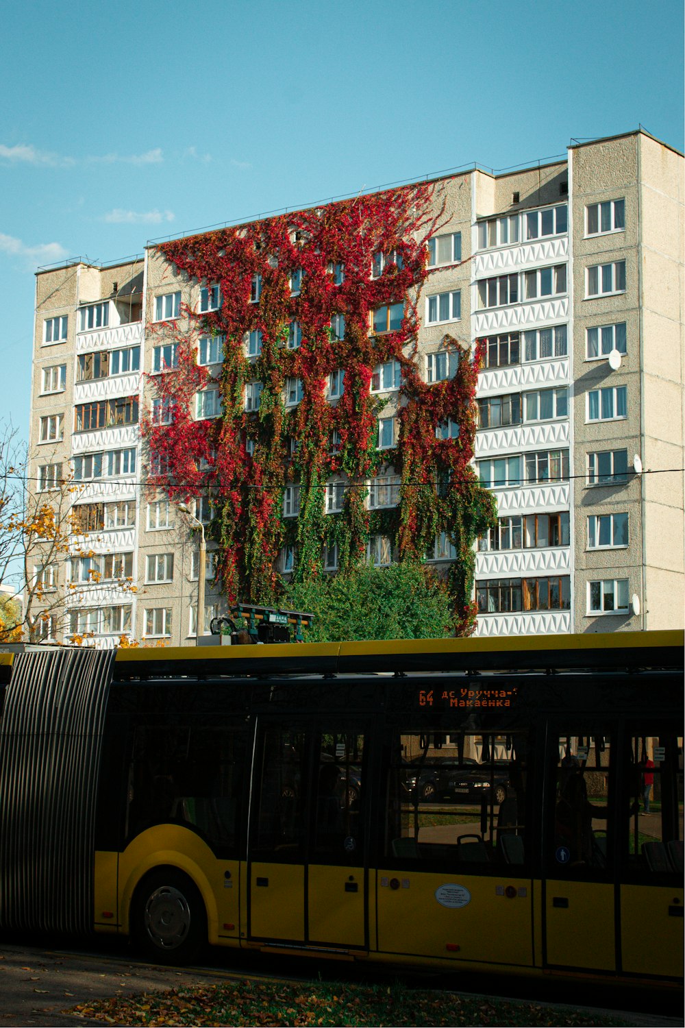 고층 건물 앞에 주차된 노란 버스