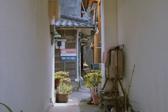 a narrow alley way with potted plants on either side
