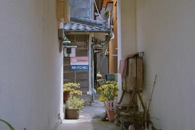 a narrow alley way with potted plants on either side