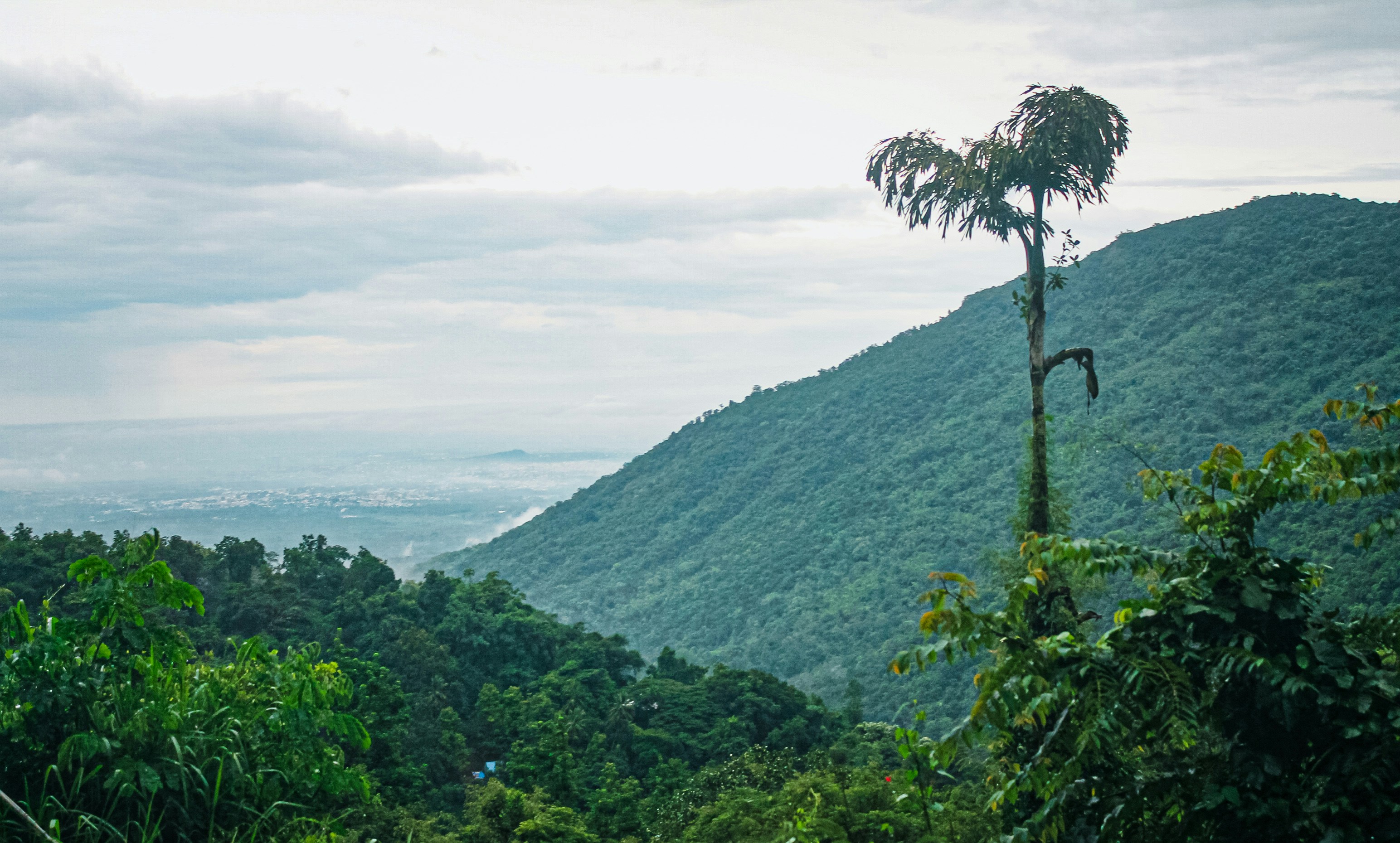 Photo by s_j__man1005